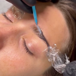 Elleeplex Profusion Brow Lamination Training (Online)