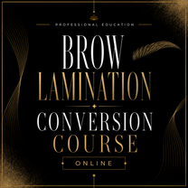 Brow Lamination Conversion Course Online