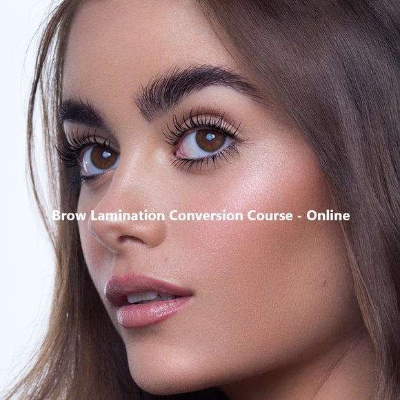 Brow Lamination Conversion Course - Online